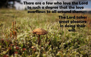 Love the Lord