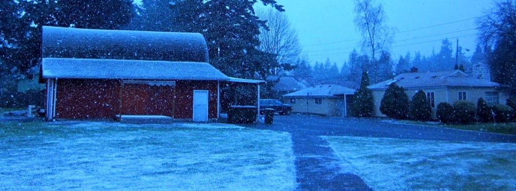 blue-barn