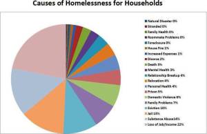 Causes-of-Homelessness (1)